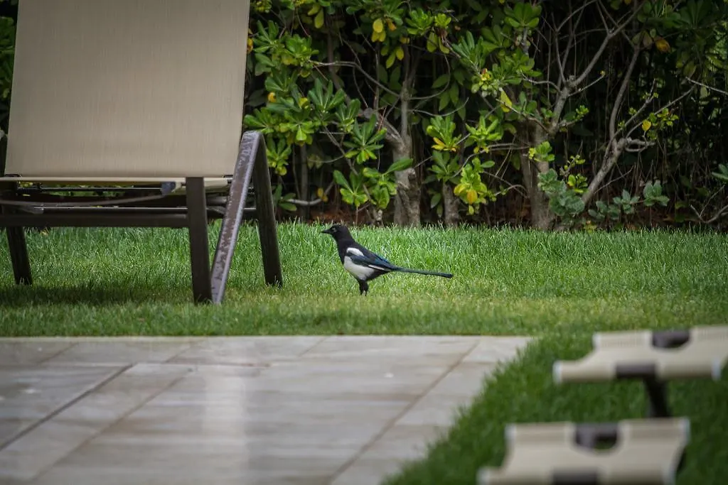 Arli Hotel Hideaway Punta Ala - Adults Only Italy